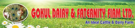 Gokul Dairy & Faternity Firm 